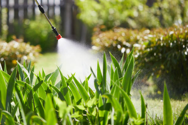 24/7 Emergency Cockroach Control experts in Wilmington, NC