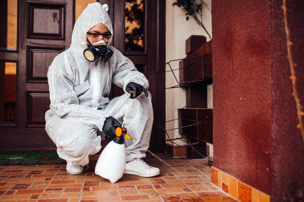 Reliable Cockroach Control contractor in Wilmington, NC by Nex Pest Control